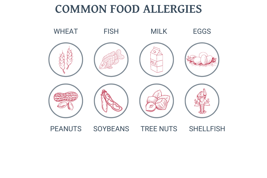 Illustration showing the most common food allergies