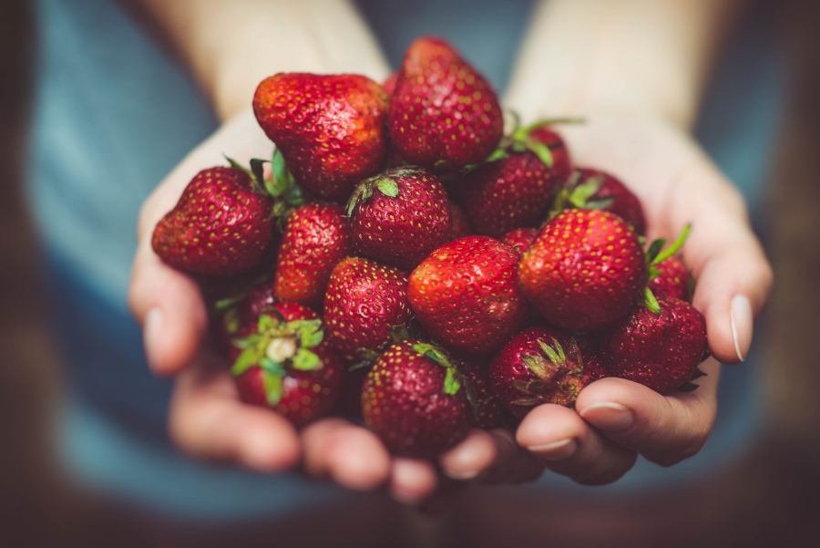 Cupped hands holding a heap of strawberries